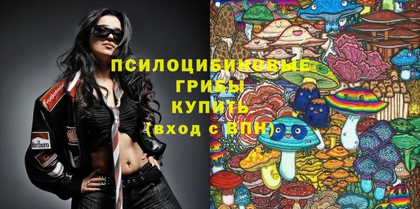 соль ск Нефтегорск